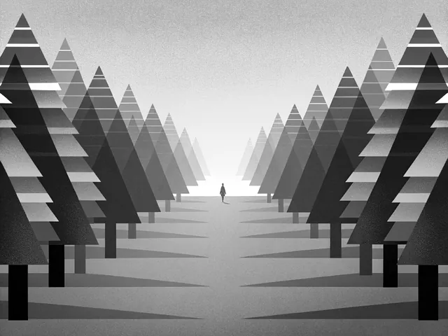 Rows of banded spruce trees lining a straight path, a small figure walking in